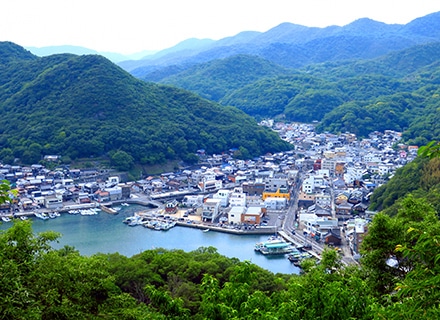 緑に囲まれた港町の眺め